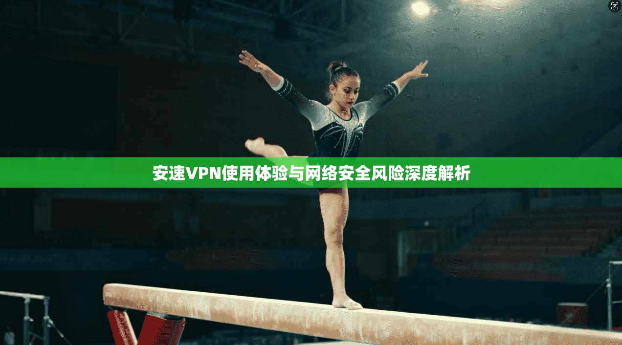 安速VPN使用体验与网络安全风险深度解析