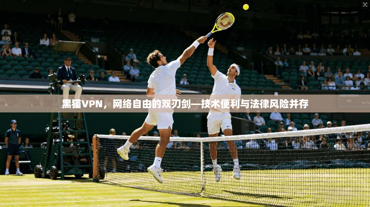 黑猫VPN，网络自由的双刃剑—技术便利与法律风险并存