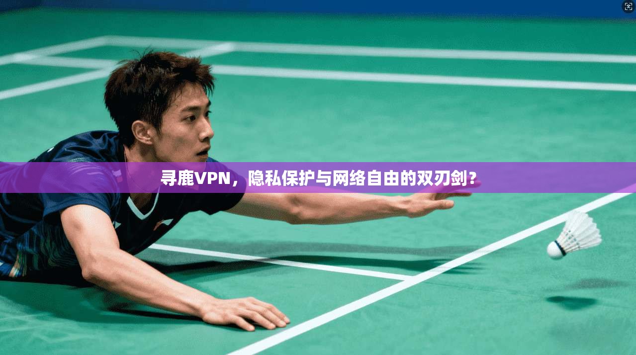寻鹿VPN，隐私保护与网络自由的双刃剑？