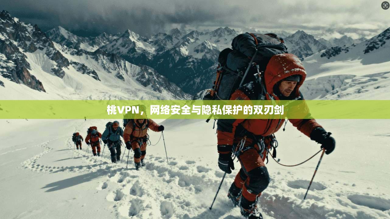 桃VPN，网络安全与隐私保护的双刃剑