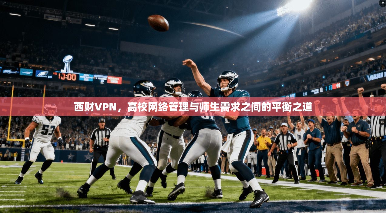 西财VPN，高校网络管理与师生需求之间的平衡之道