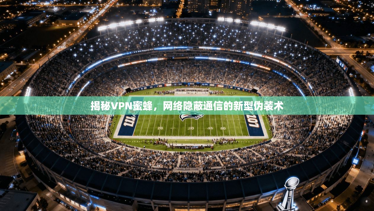 揭秘VPN蜜蜂，网络隐蔽通信的新型伪装术