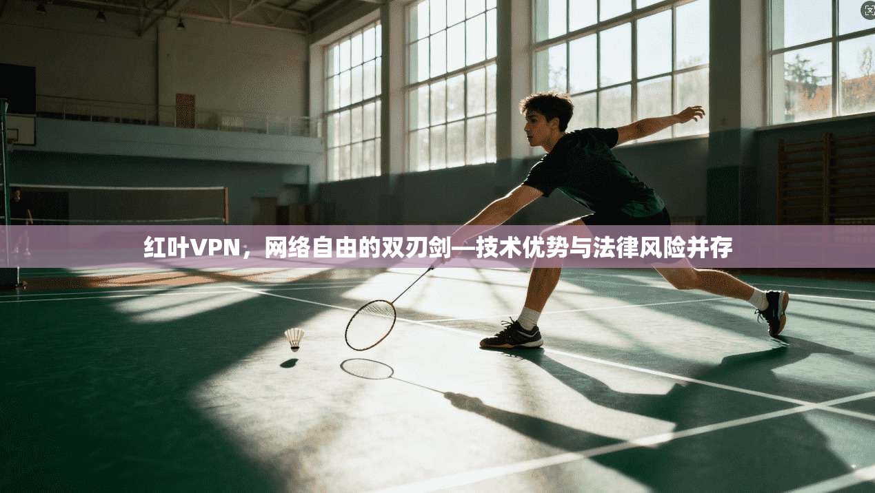 红叶VPN，网络自由的双刃剑—技术优势与法律风险并存