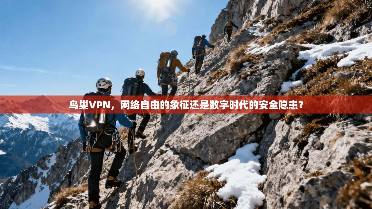 鸟巢VPN，网络自由的象征还是数字时代的安全隐患？