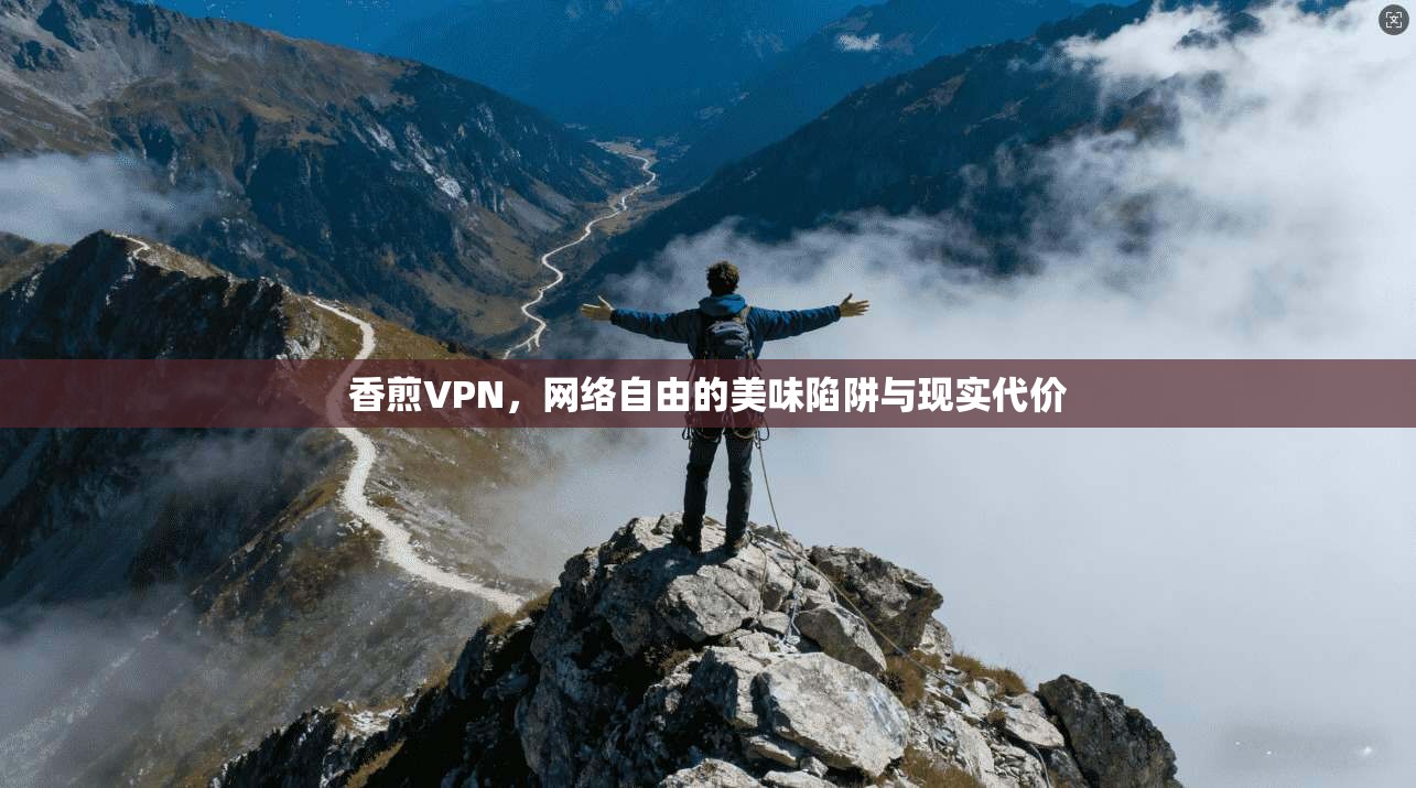 香煎VPN，网络自由的美味陷阱与现实代价