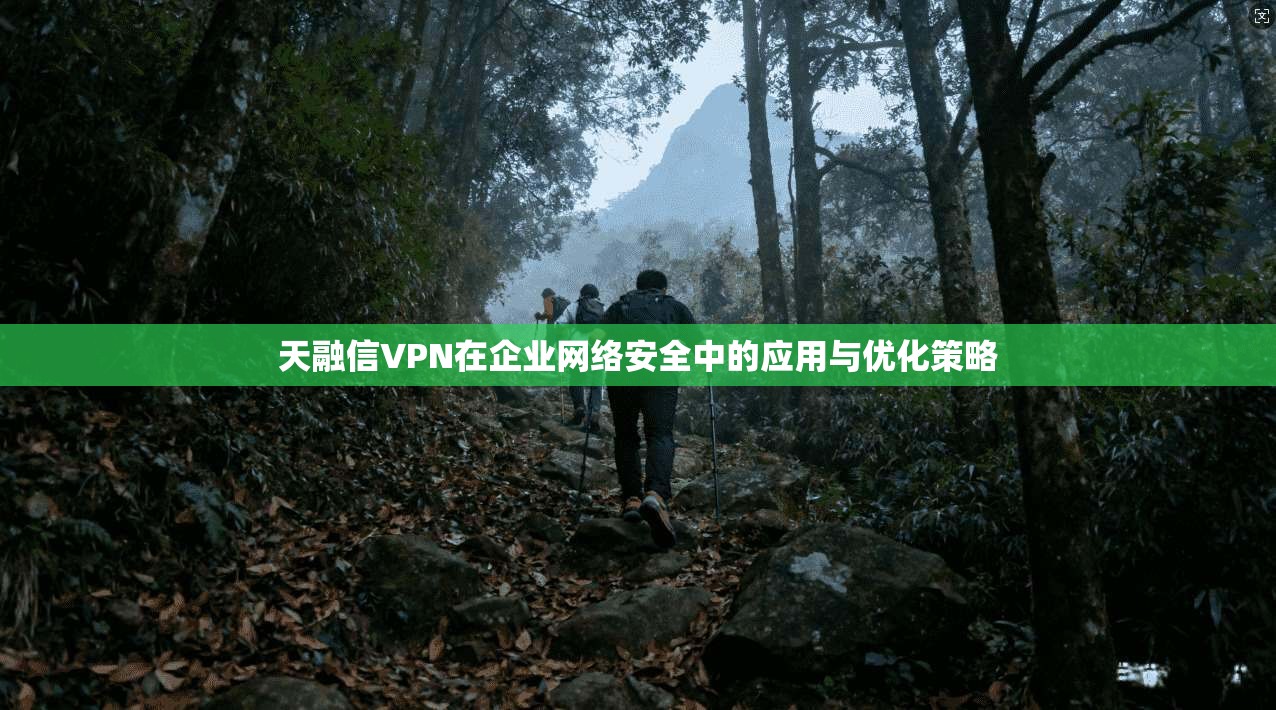 天融信VPN在企业网络安全中的应用与优化策略