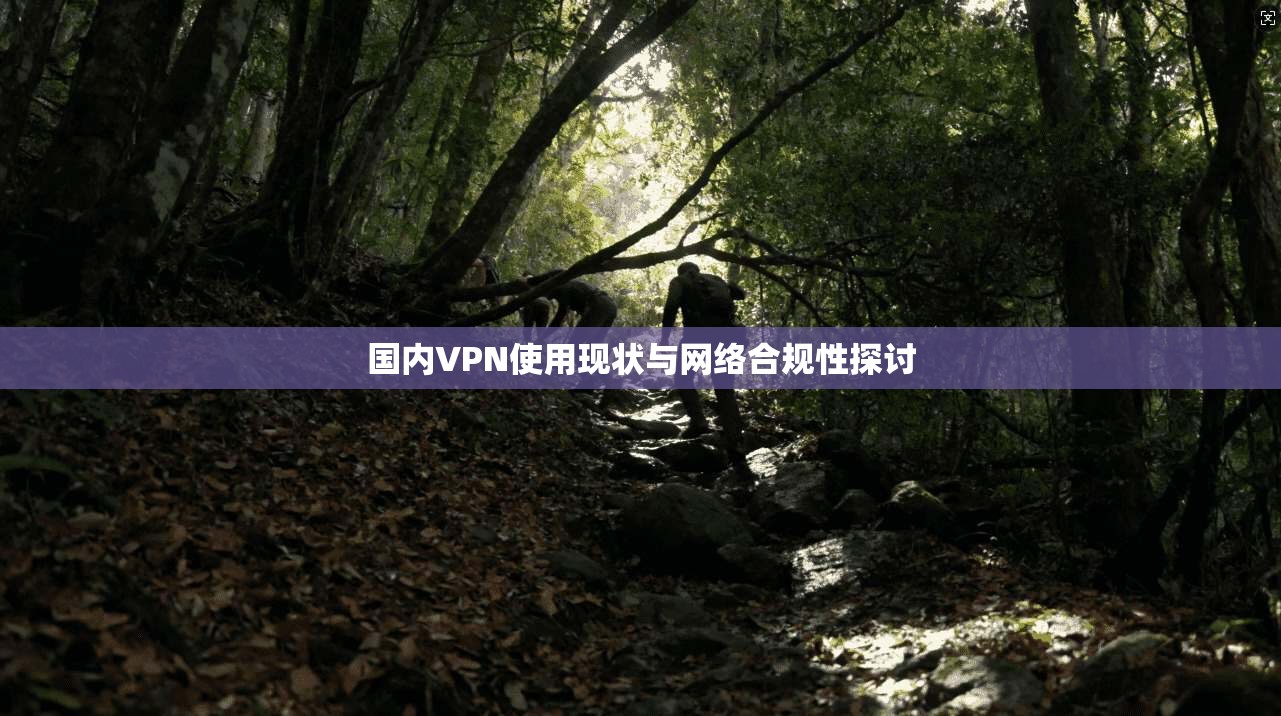 国内VPN使用现状与网络合规性探讨