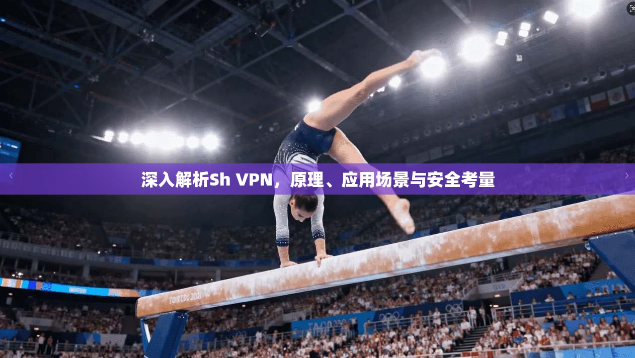 深入解析Sh VPN，原理、应用场景与安全考量
