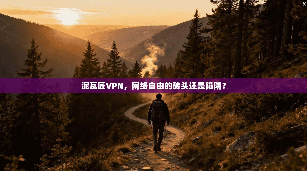 泥瓦匠VPN，网络自由的砖头还是陷阱？