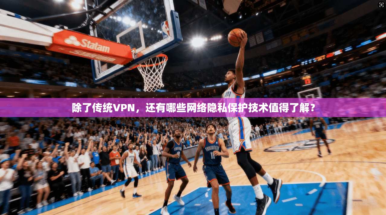 除了传统VPN，还有哪些网络隐私保护技术值得了解？