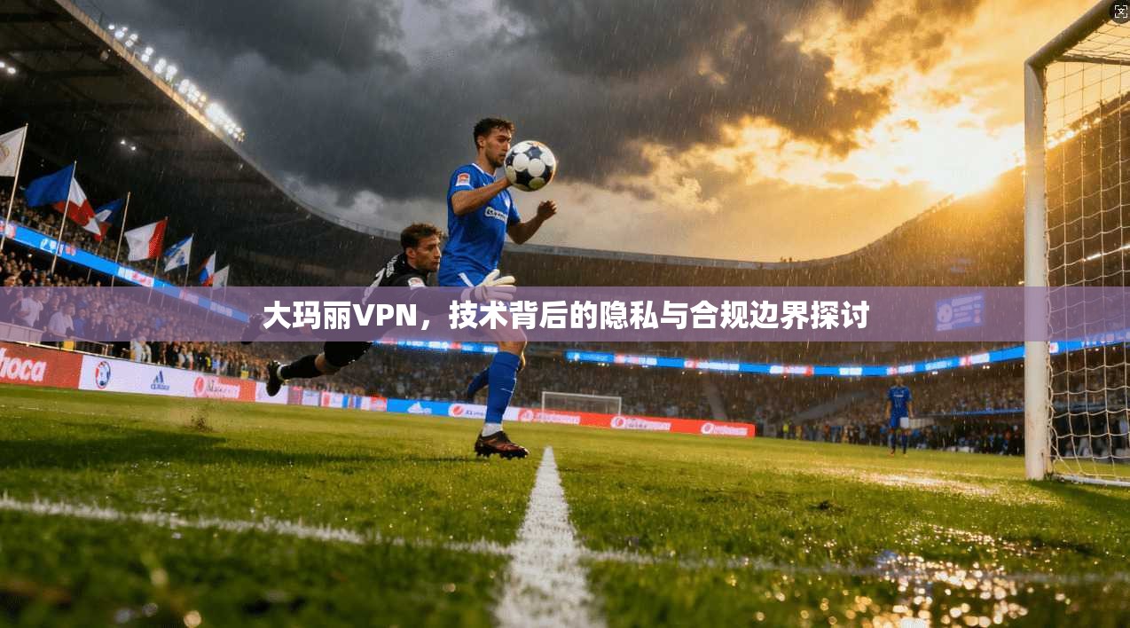 大玛丽VPN，技术背后的隐私与合规边界探讨