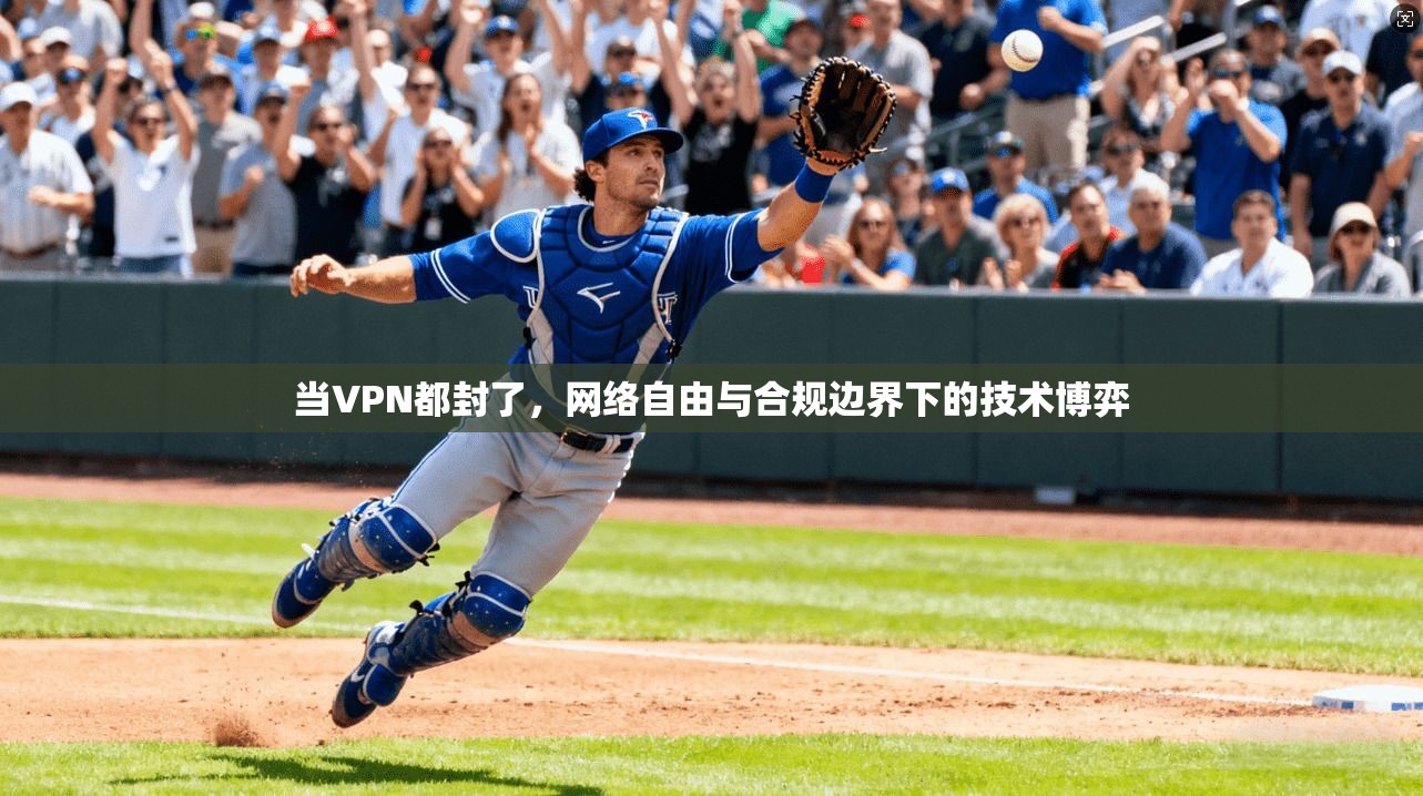 当VPN都封了，网络自由与合规边界下的技术博弈