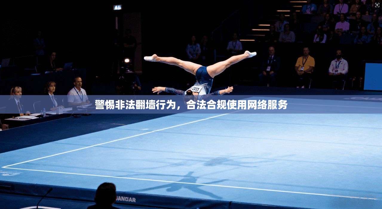 警惕非法翻墙行为，合法合规使用网络服务