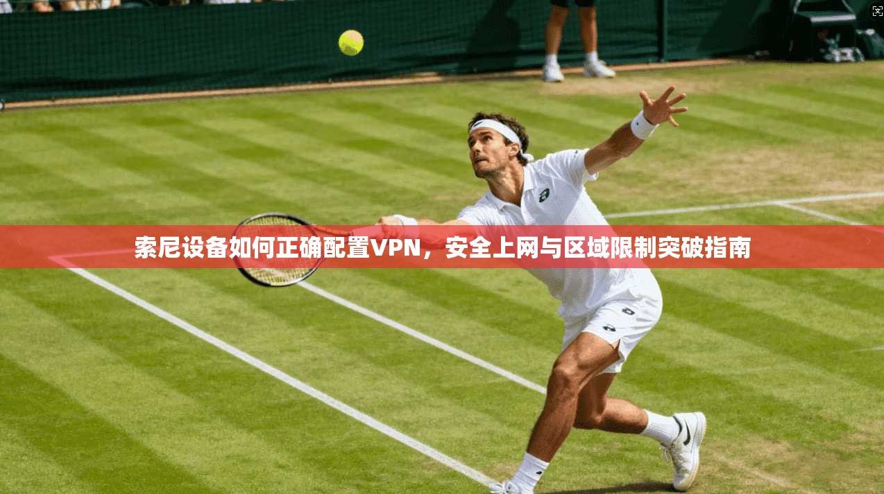 索尼设备如何正确配置VPN，安全上网与区域限制突破指南