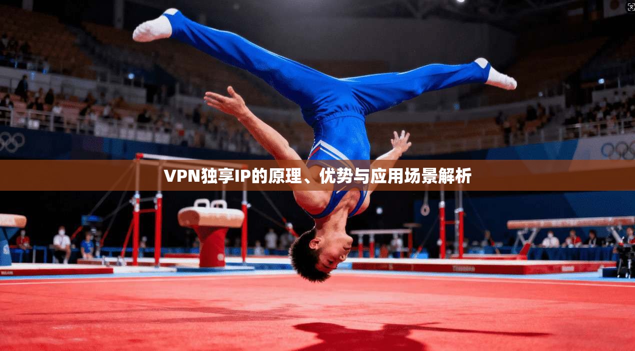 VPN独享IP的原理、优势与应用场景解析