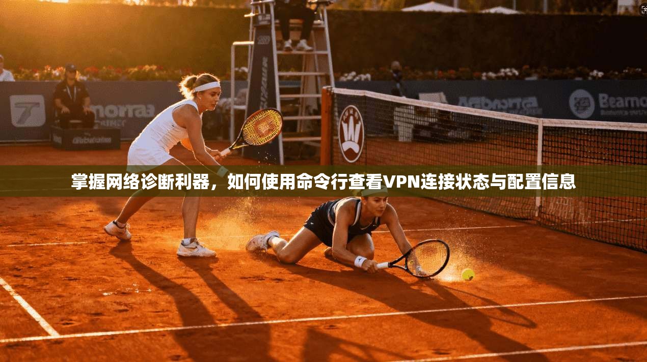 掌握网络诊断利器，如何使用命令行查看VPN连接状态与配置信息