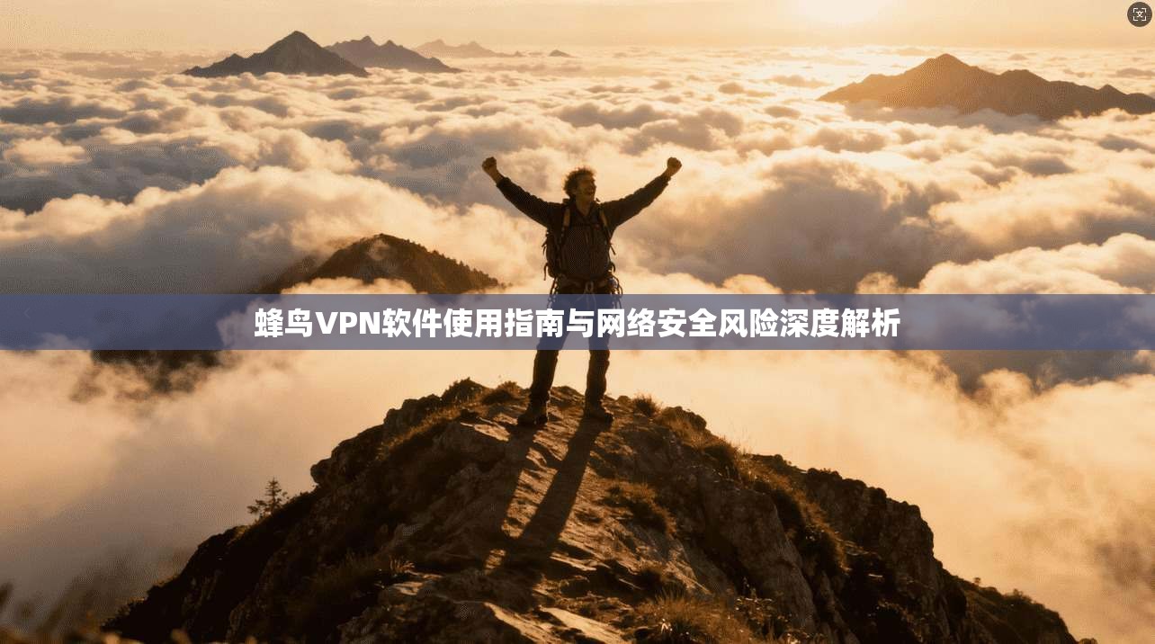 蜂鸟VPN软件使用指南与网络安全风险深度解析