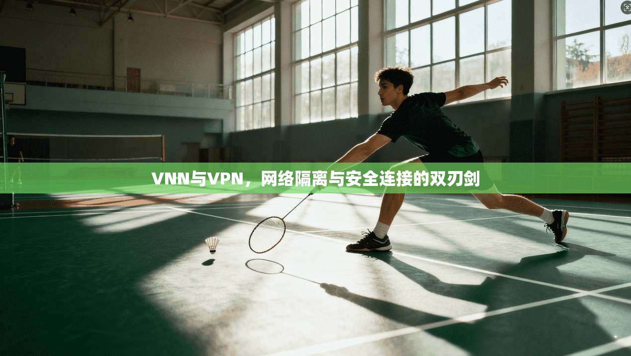 VNN与VPN，网络隔离与安全连接的双刃剑