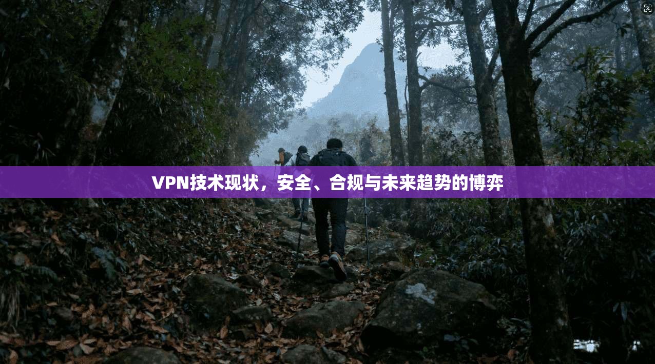 VPN技术现状，安全、合规与未来趋势的博弈