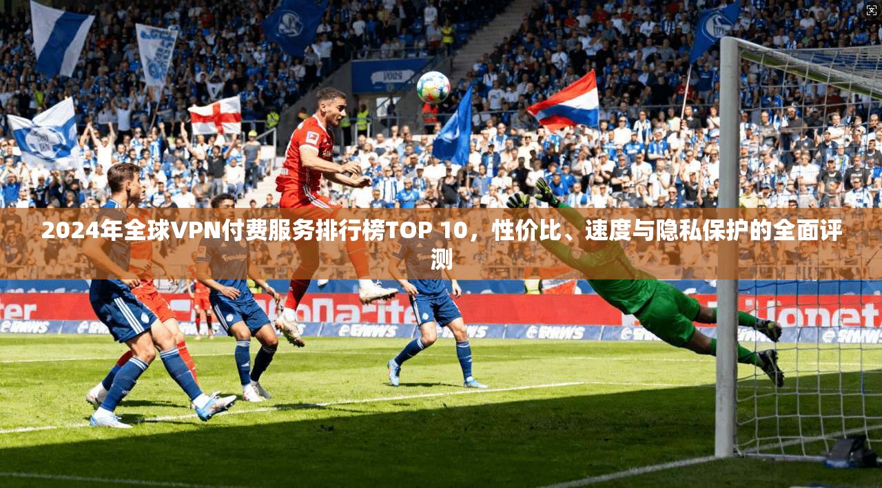 2024年全球VPN付费服务排行榜TOP 10，性价比、速度与隐私保护的全面评测
