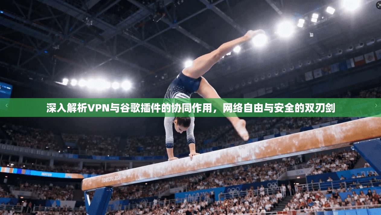 深入解析VPN与谷歌插件的协同作用，网络自由与安全的双刃剑
