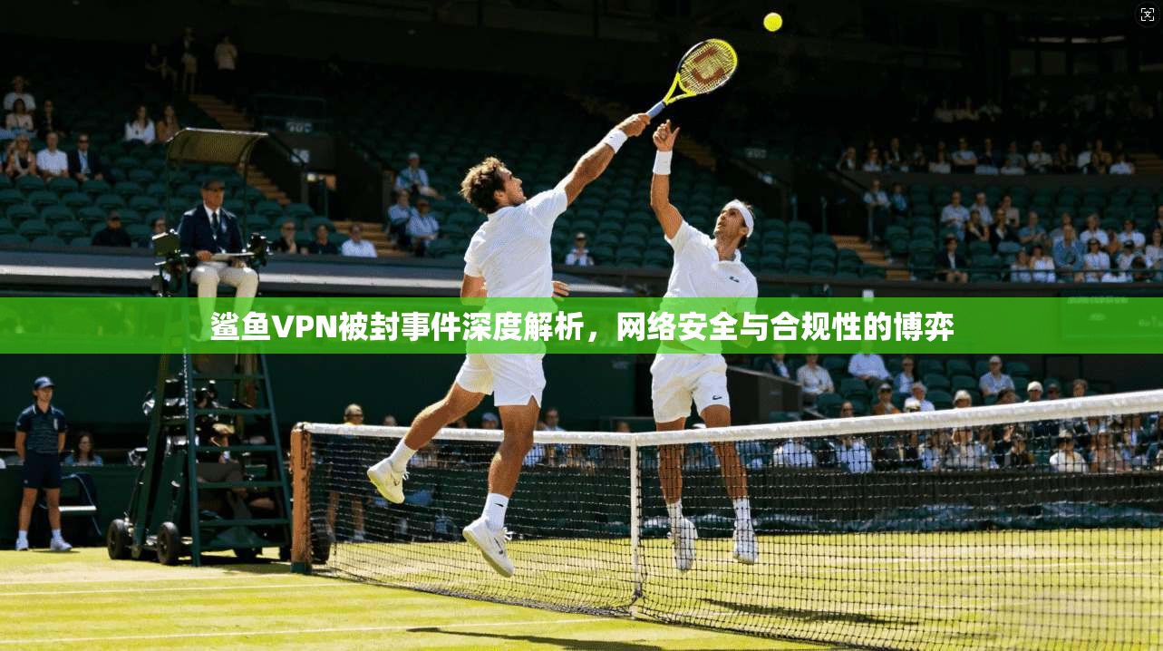 鲨鱼VPN被封事件深度解析，网络安全与合规性的博弈
