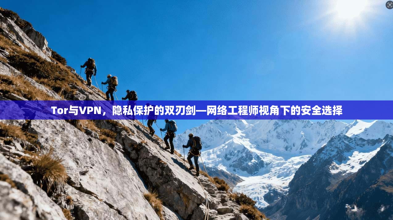 Tor与VPN，隐私保护的双刃剑—网络工程师视角下的安全选择