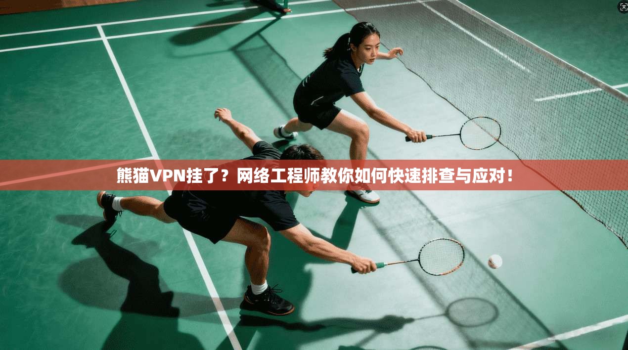 熊猫VPN挂了？网络工程师教你如何快速排查与应对！