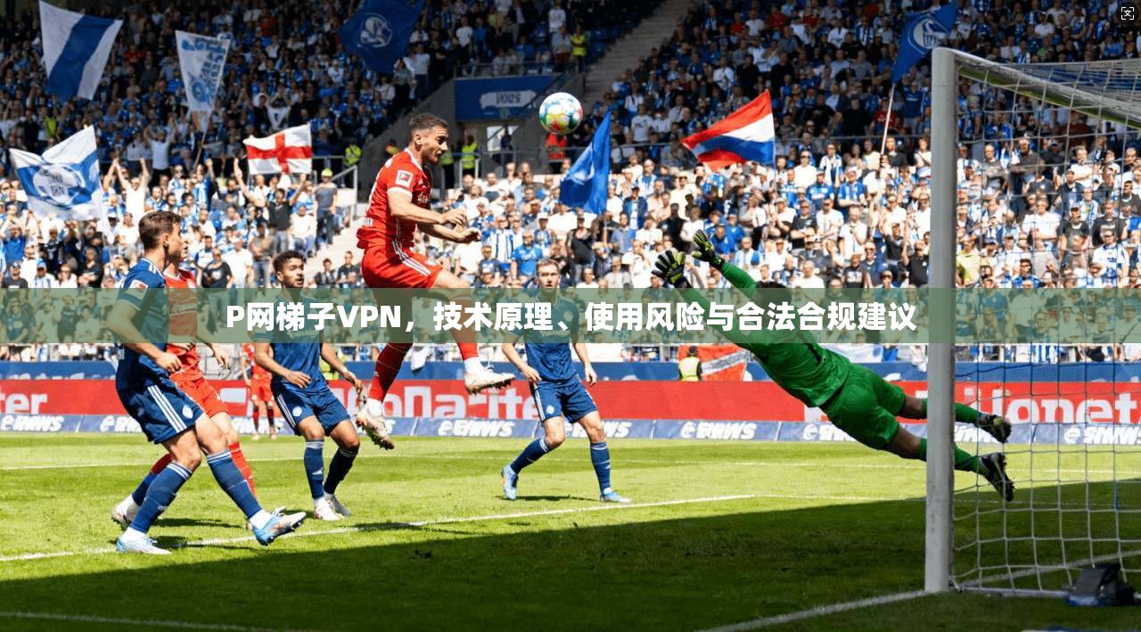 P网梯子VPN，技术原理、使用风险与合法合规建议