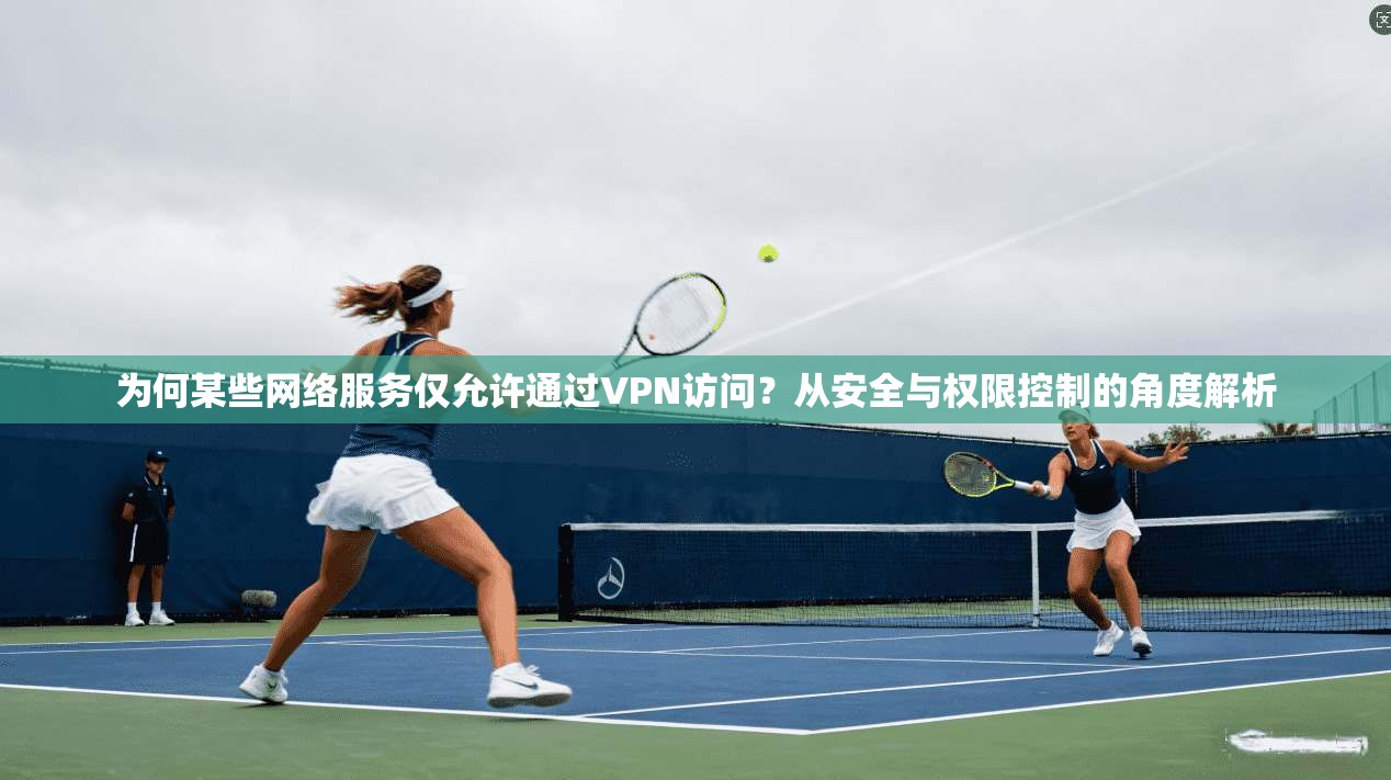 为何某些网络服务仅允许通过VPN访问？从安全与权限控制的角度解析