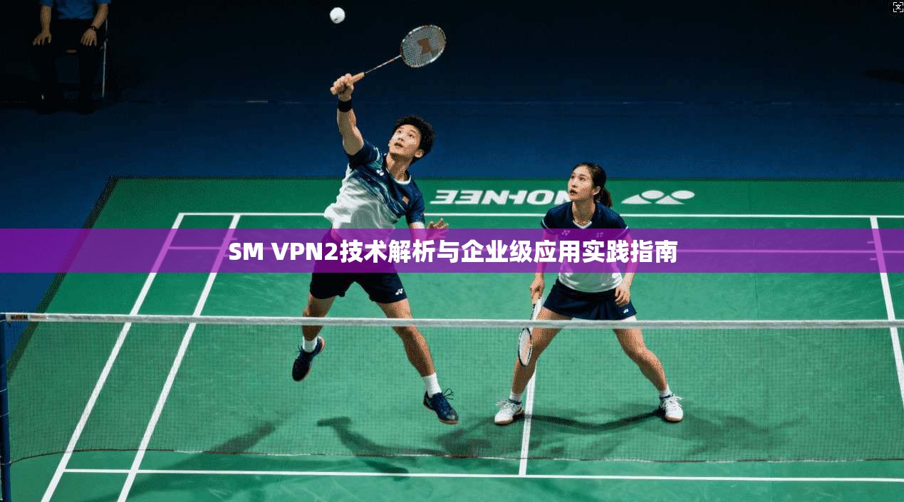 SM VPN2技术解析与企业级应用实践指南
