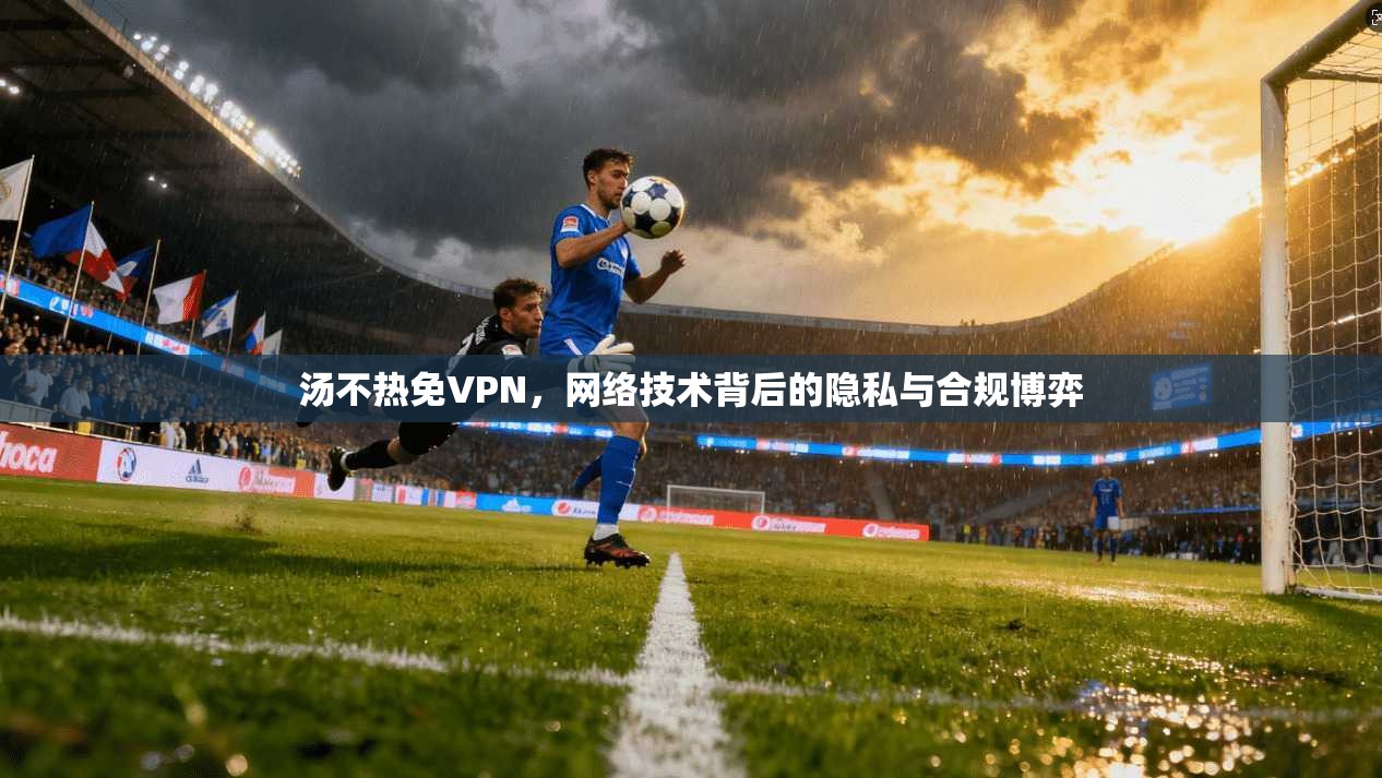 汤不热免VPN，网络技术背后的隐私与合规博弈