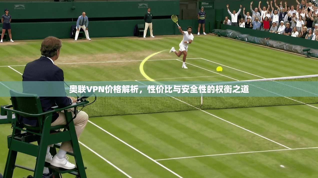 奥联VPN价格解析，性价比与安全性的权衡之道