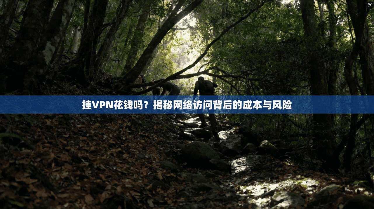 挂VPN花钱吗？揭秘网络访问背后的成本与风险
