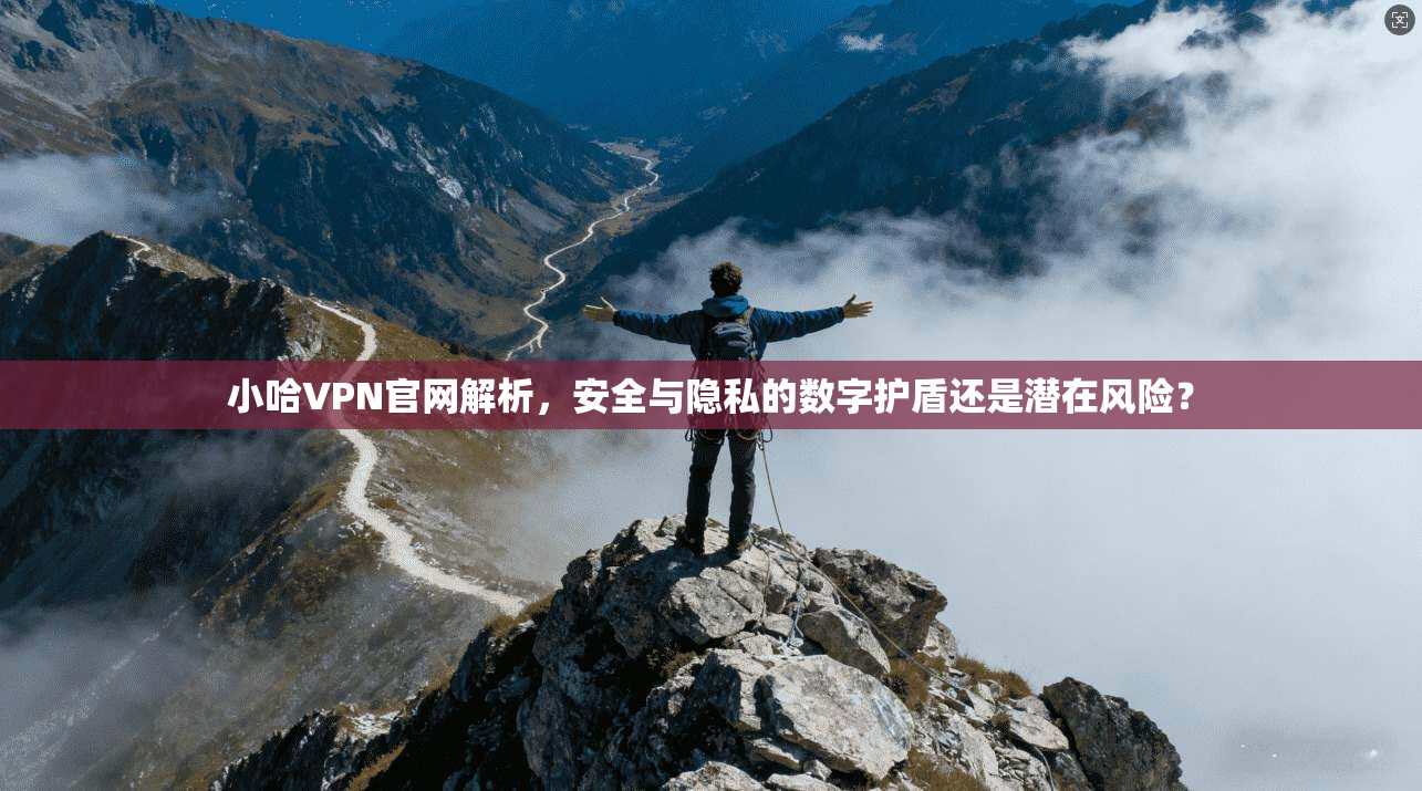 小哈VPN官网解析，安全与隐私的数字护盾还是潜在风险？
