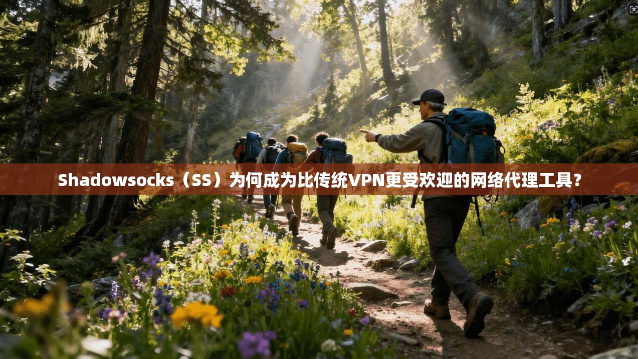 Shadowsocks（SS）为何成为比传统VPN更受欢迎的网络代理工具？