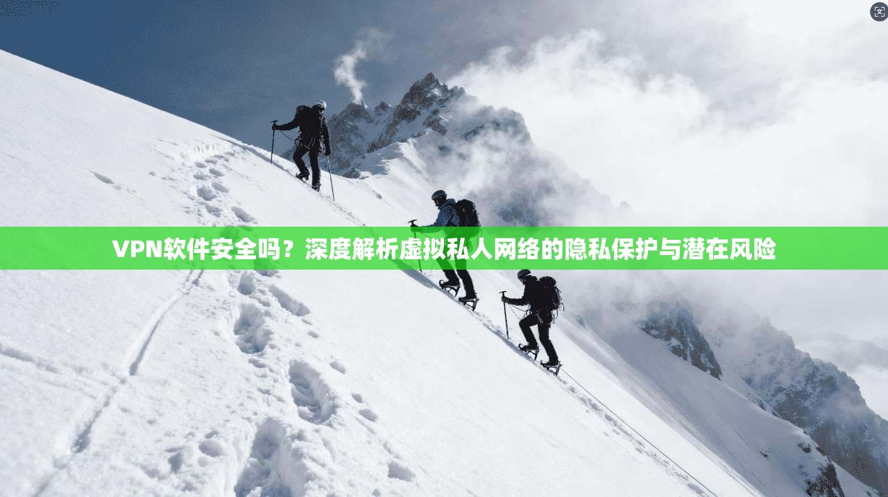 VPN软件安全吗？深度解析虚拟私人网络的隐私保护与潜在风险