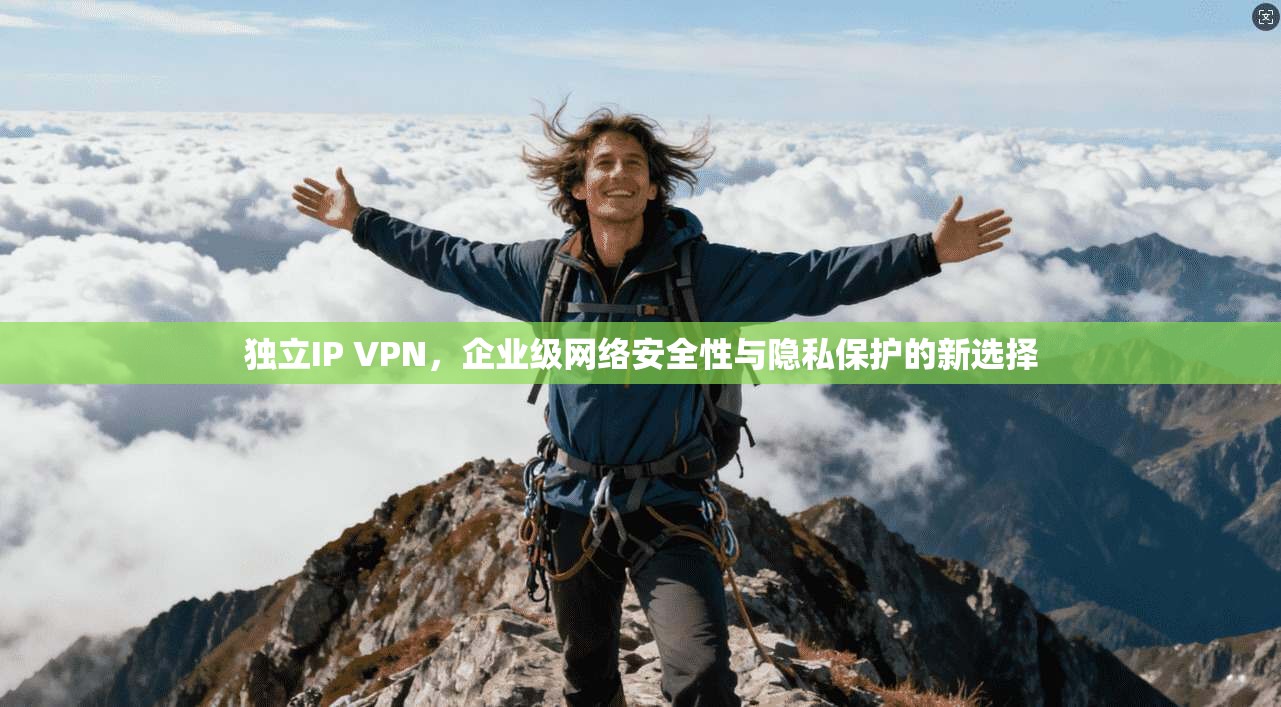 独立IP VPN，企业级网络安全性与隐私保护的新选择