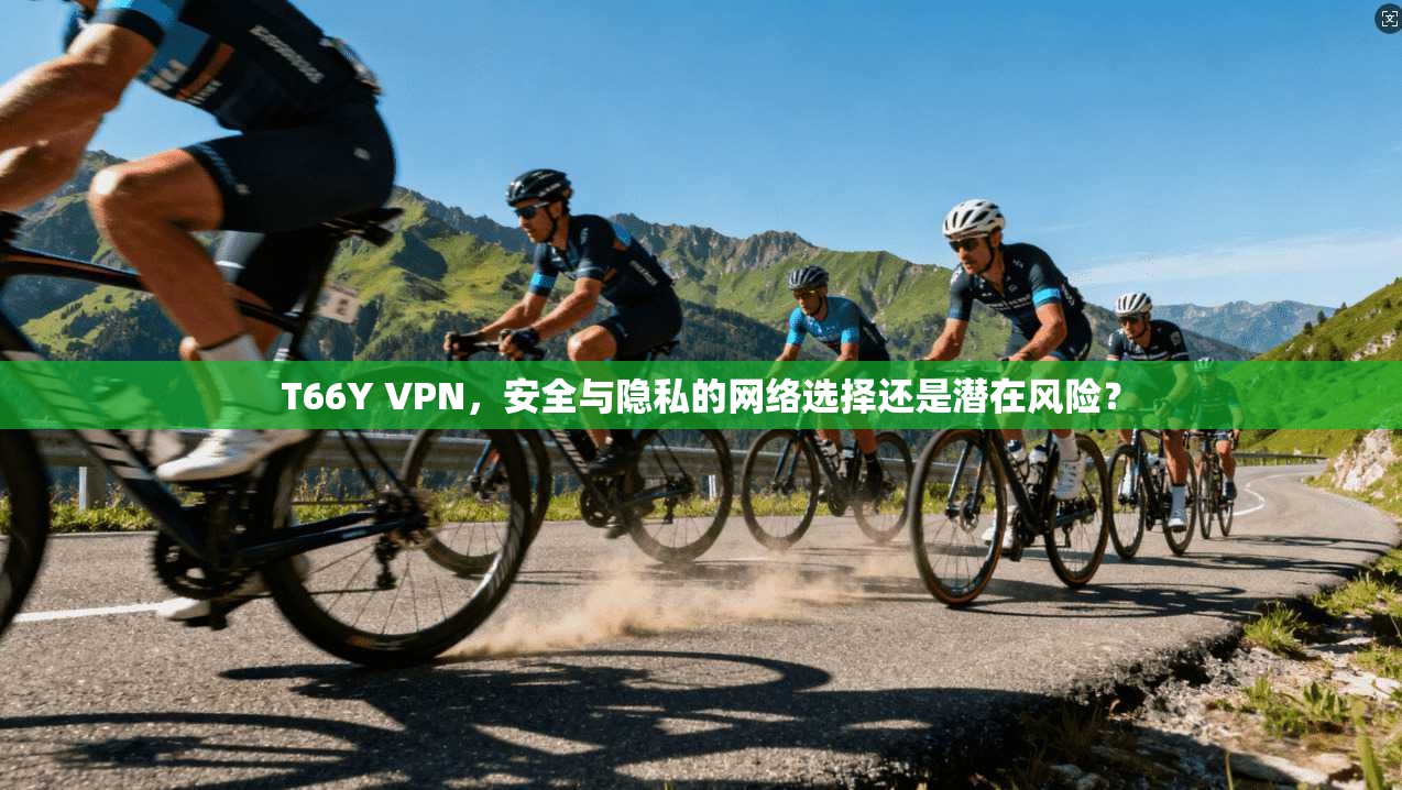 T66Y VPN，安全与隐私的网络选择还是潜在风险？