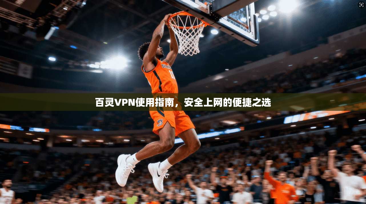 百灵VPN使用指南，安全上网的便捷之选