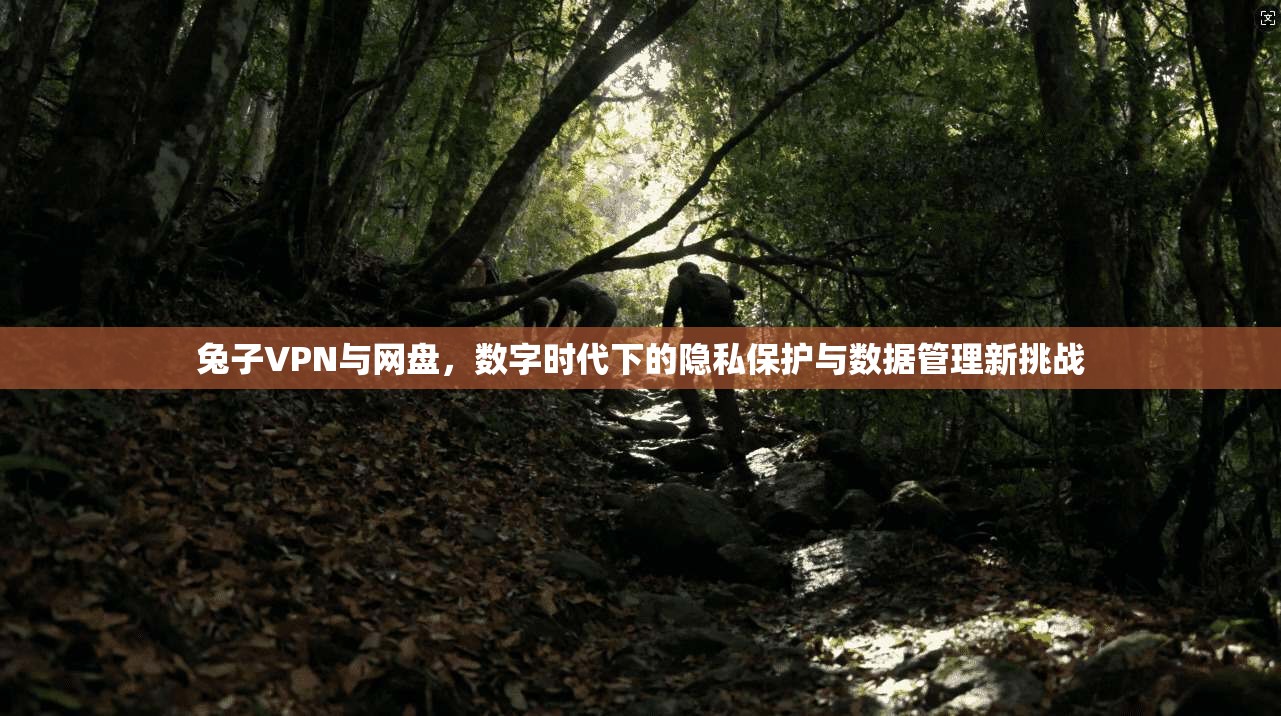 兔子VPN与网盘，数字时代下的隐私保护与数据管理新挑战