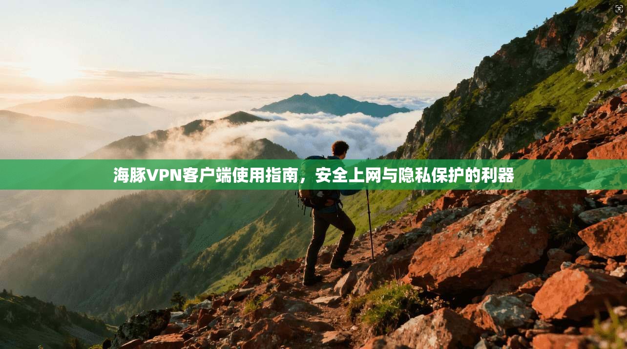 海豚VPN客户端使用指南，安全上网与隐私保护的利器