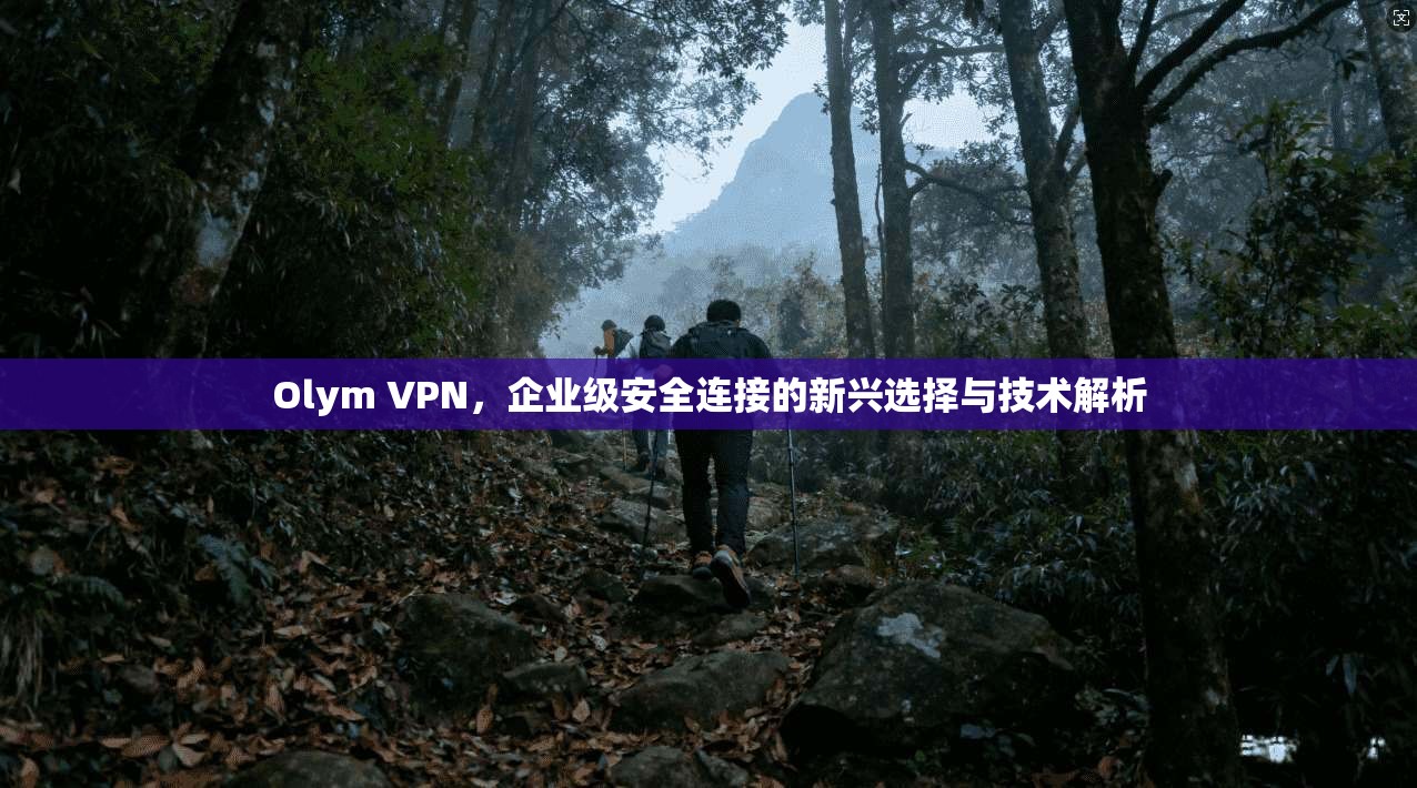 Olym VPN，企业级安全连接的新兴选择与技术解析
