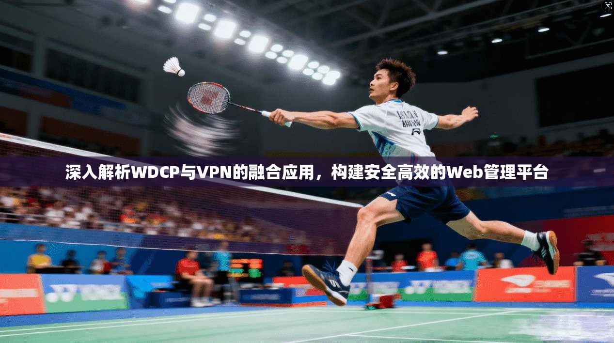 深入解析WDCP与VPN的融合应用，构建安全高效的Web管理平台
