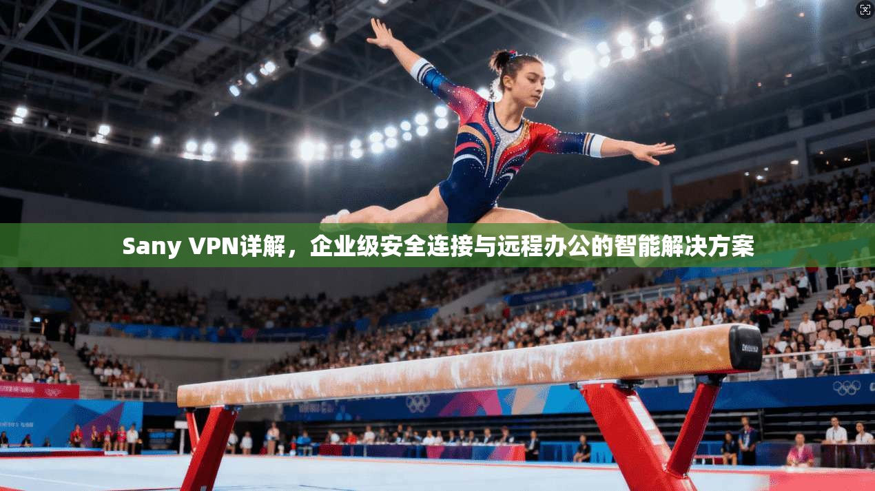 Sany VPN详解，企业级安全连接与远程办公的智能解决方案
