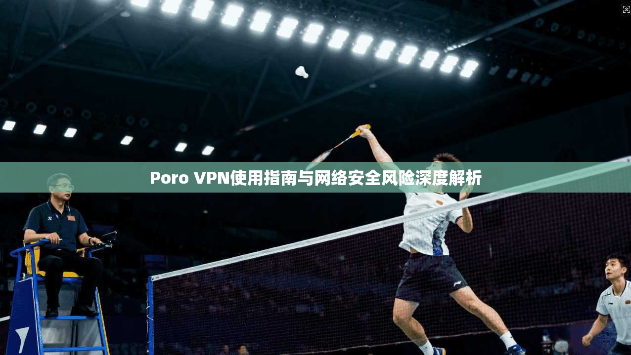 Poro VPN使用指南与网络安全风险深度解析