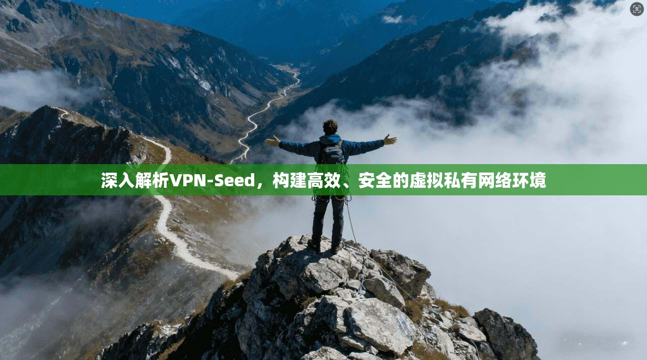 深入解析VPN-Seed，构建高效、安全的虚拟私有网络环境