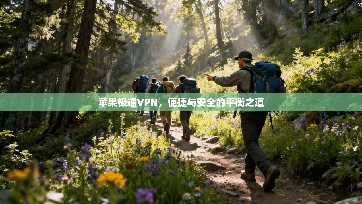 苹果极速VPN，便捷与安全的平衡之道