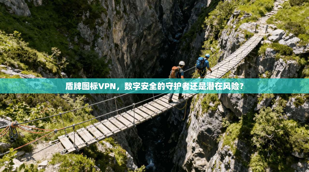 盾牌图标VPN，数字安全的守护者还是潜在风险？