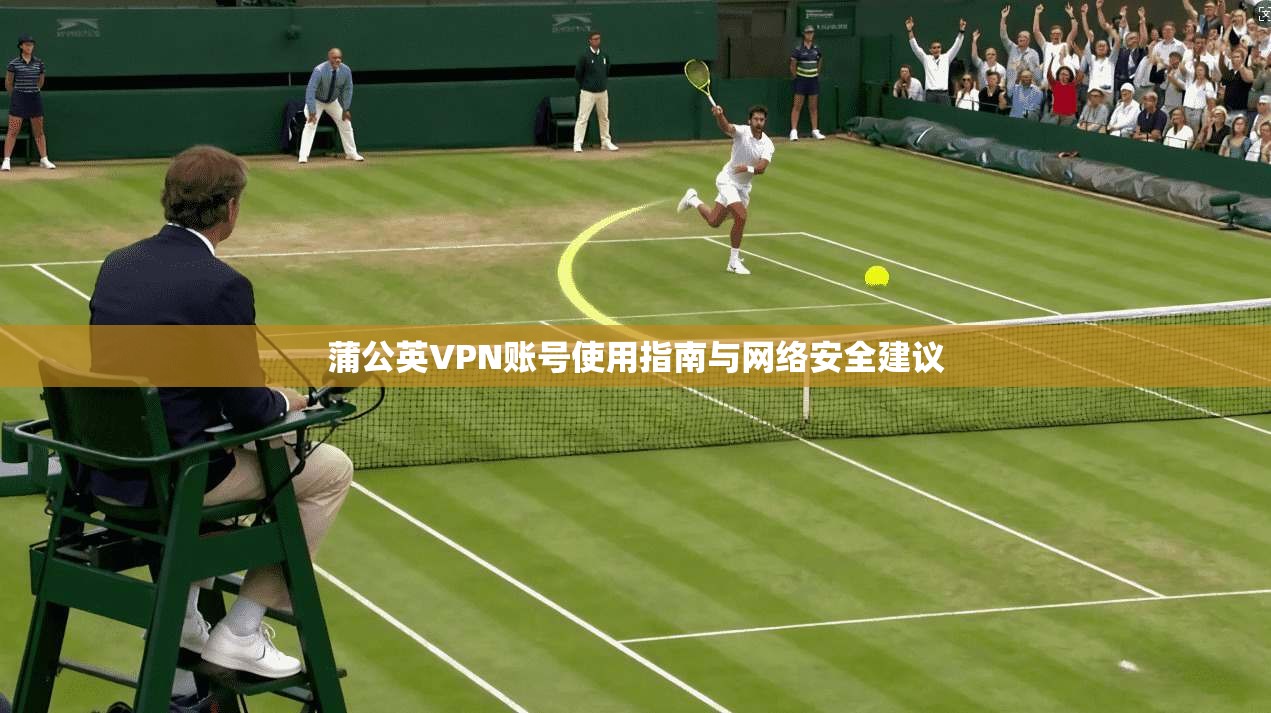 蒲公英VPN账号使用指南与网络安全建议